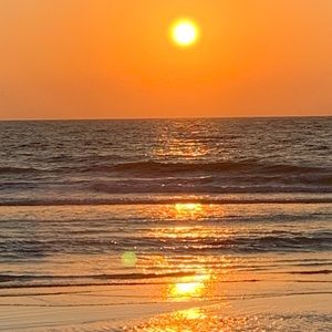 Meet your Posher, Carol